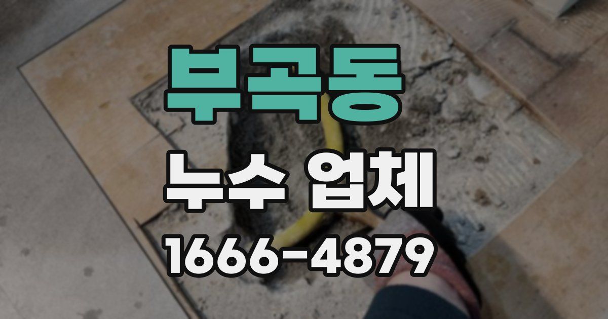 부곡동 누수 업체