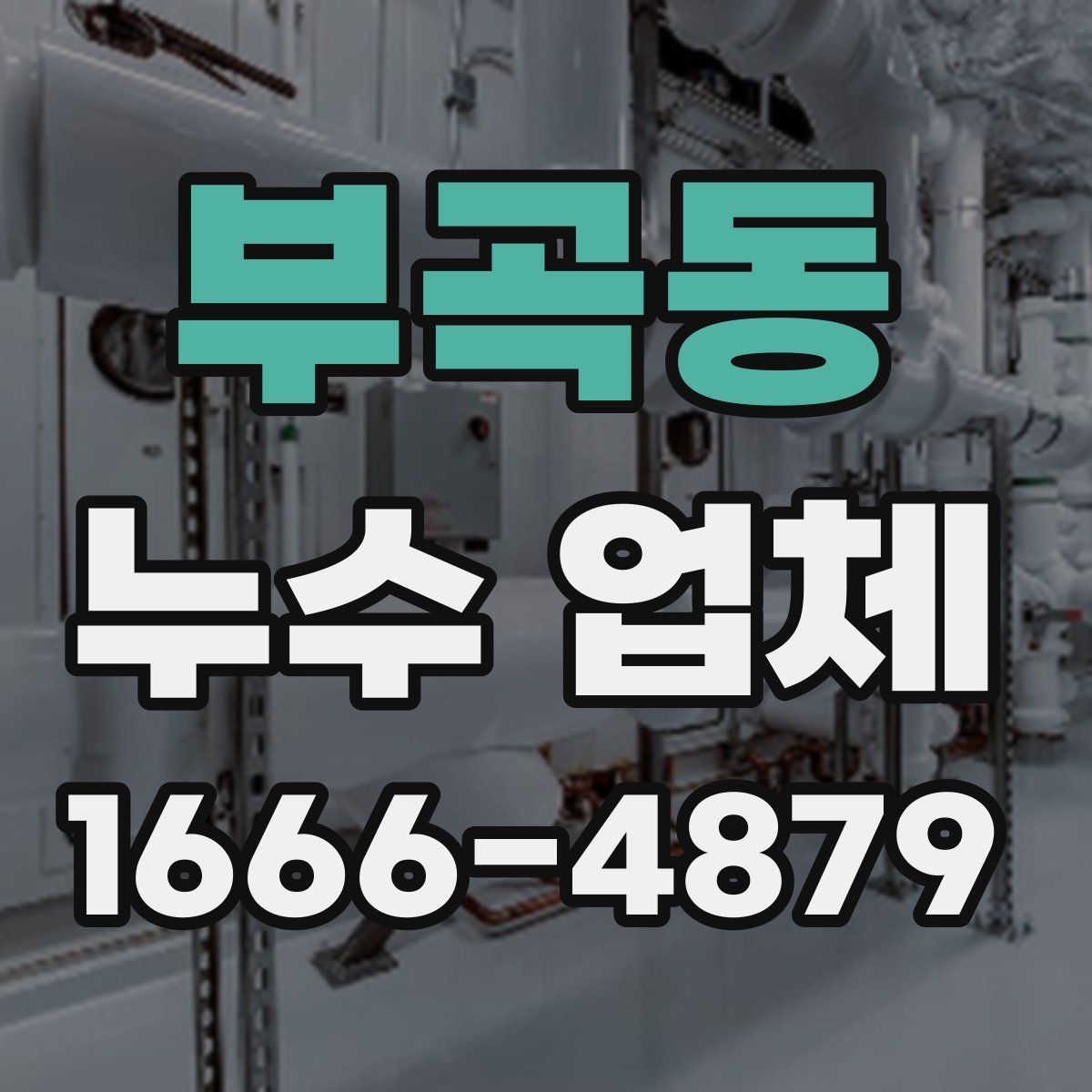 부곡동 누수 업체