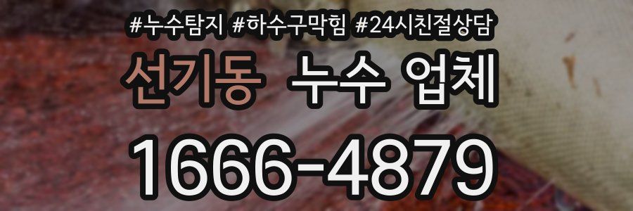 선기동 누수 업체