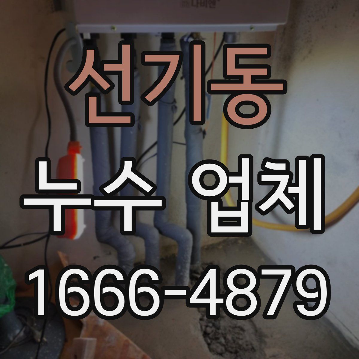 선기동 누수 업체