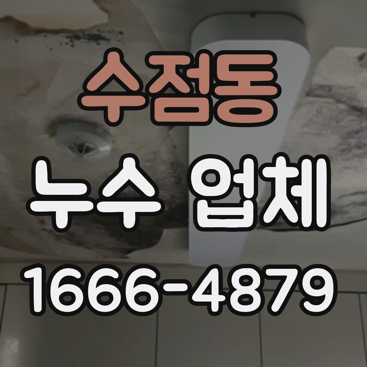 수점동 누수 업체
