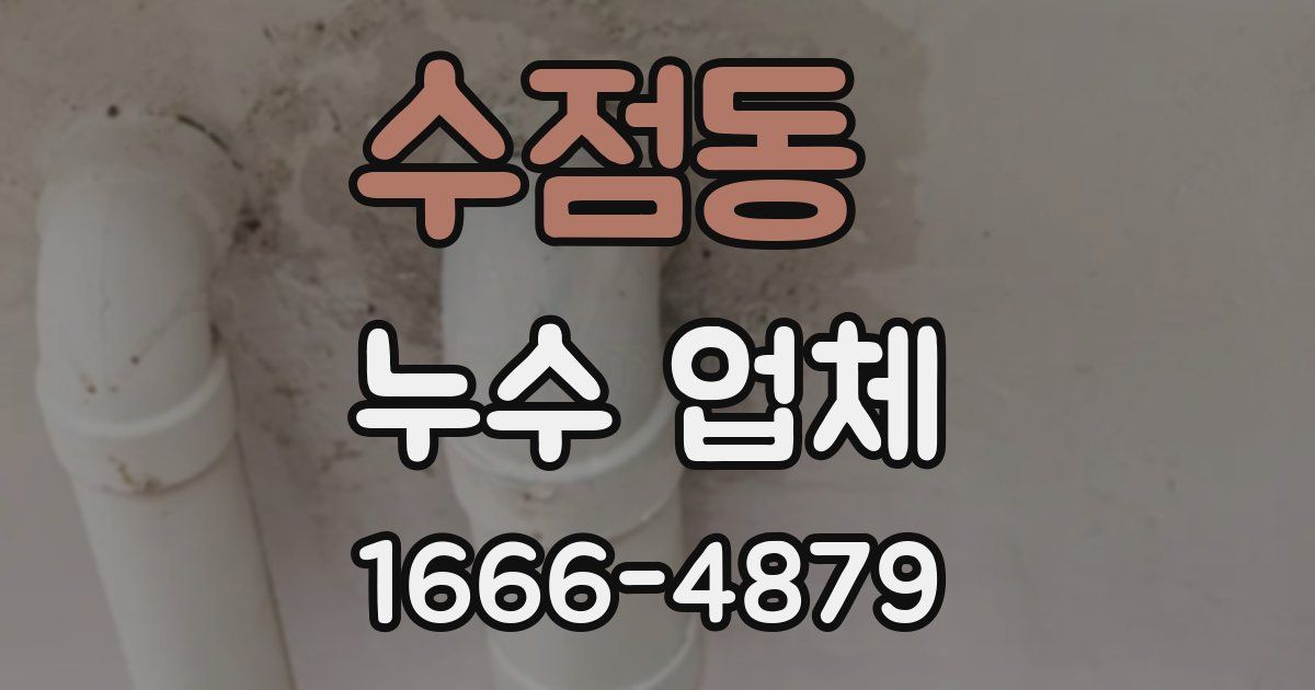 수점동 누수 업체