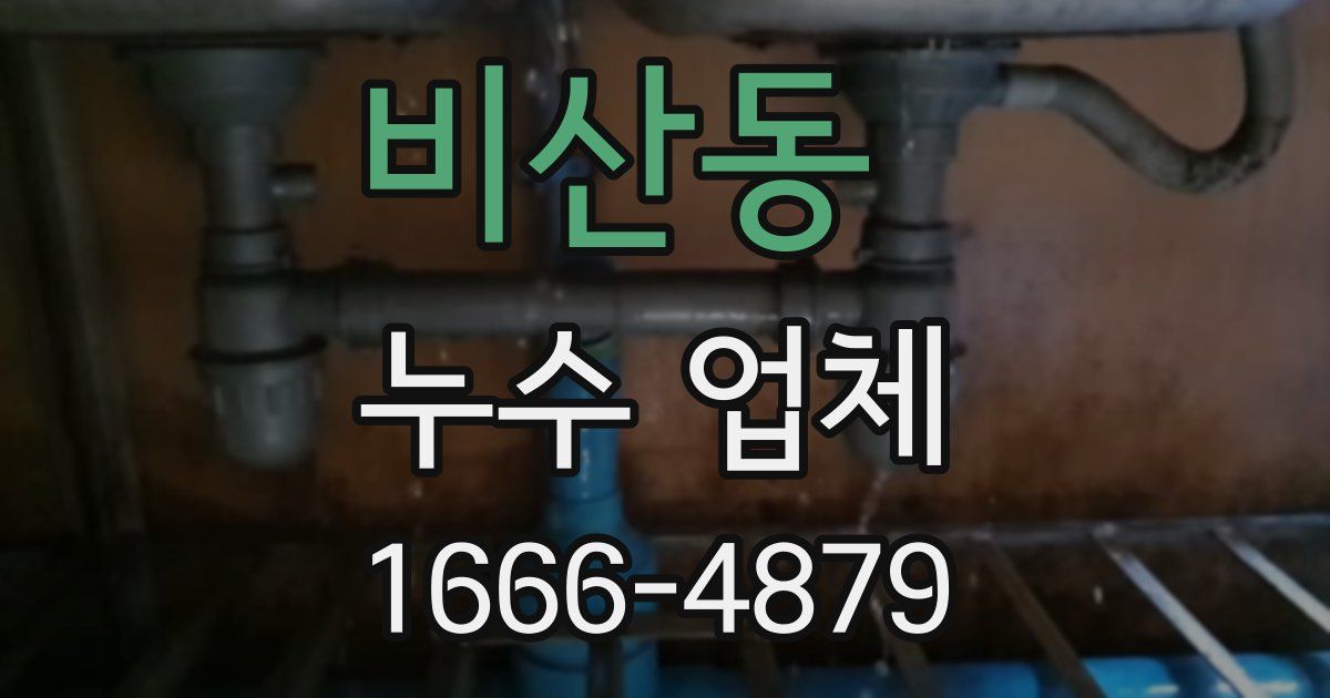 비산동 누수 업체