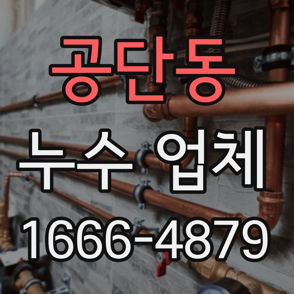 공단동 누수 업체