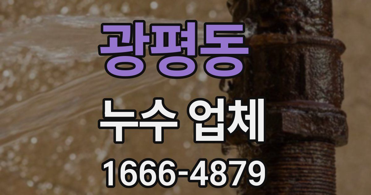 광평동 누수 업체