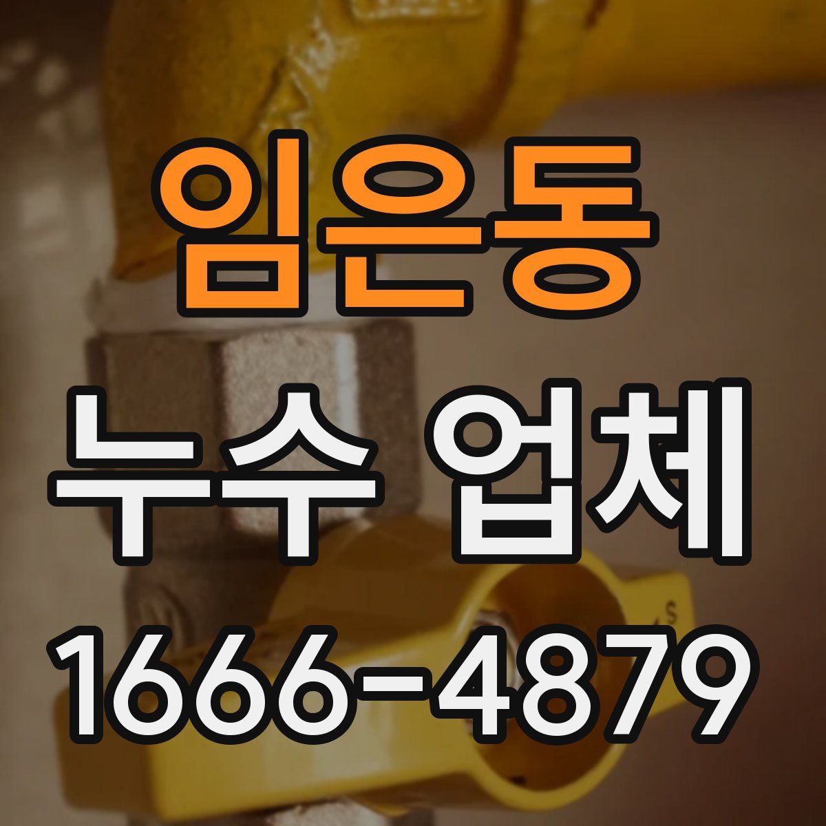 임은동 누수 업체