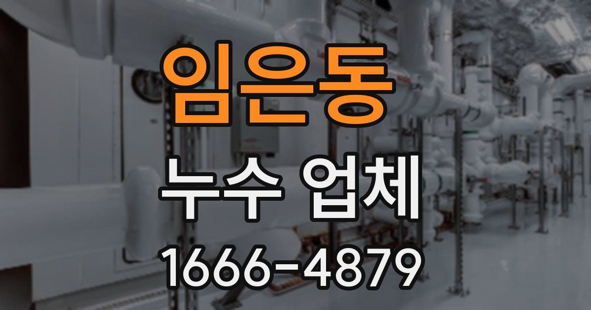 임은동 누수 업체
