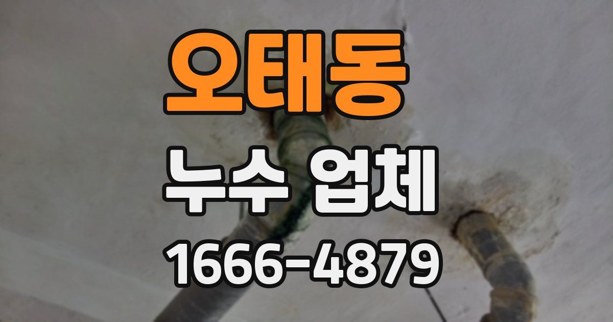 오태동 누수 업체