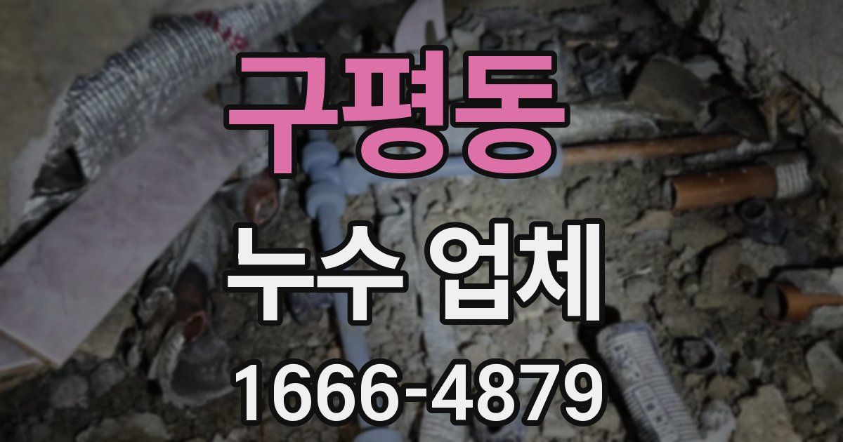 구평동 누수 업체
