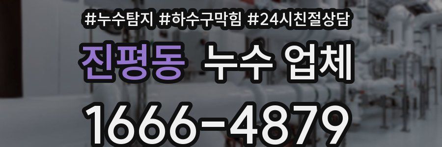 진평동 누수 업체