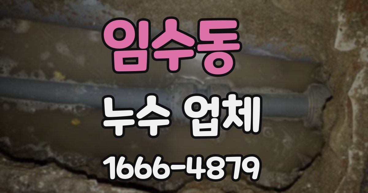 임수동 누수 업체