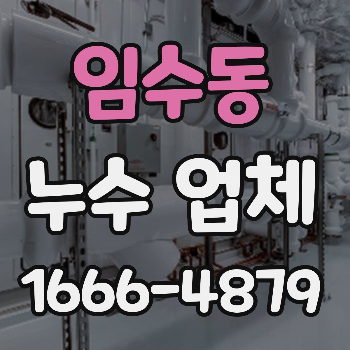 임수동 누수 업체
