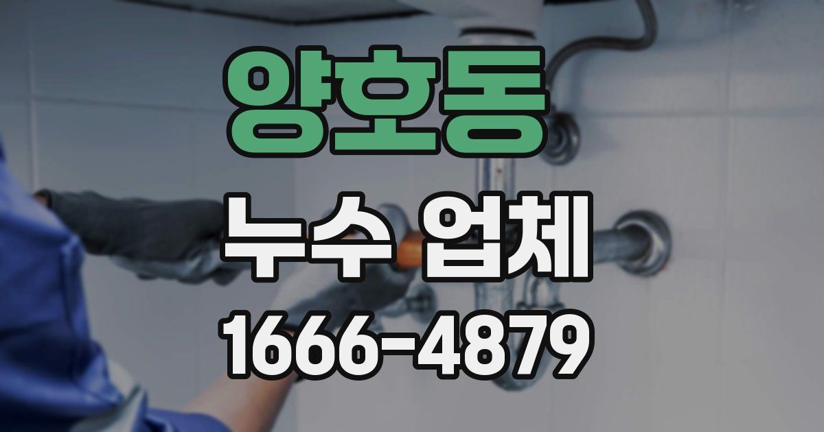 양호동 누수 업체