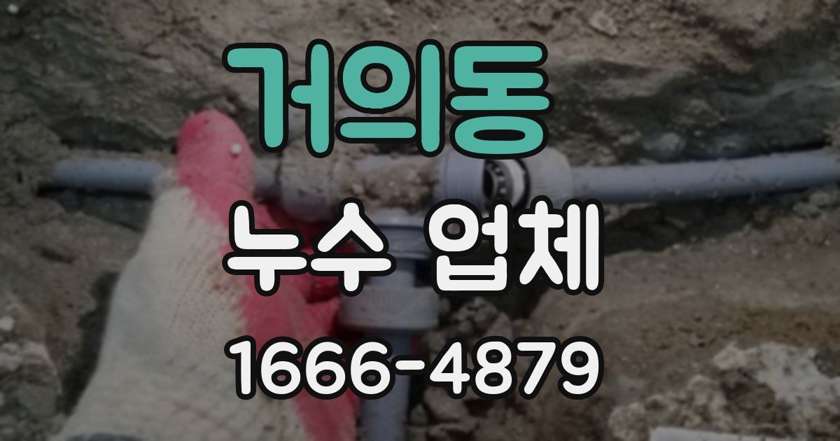 거의동 누수 업체