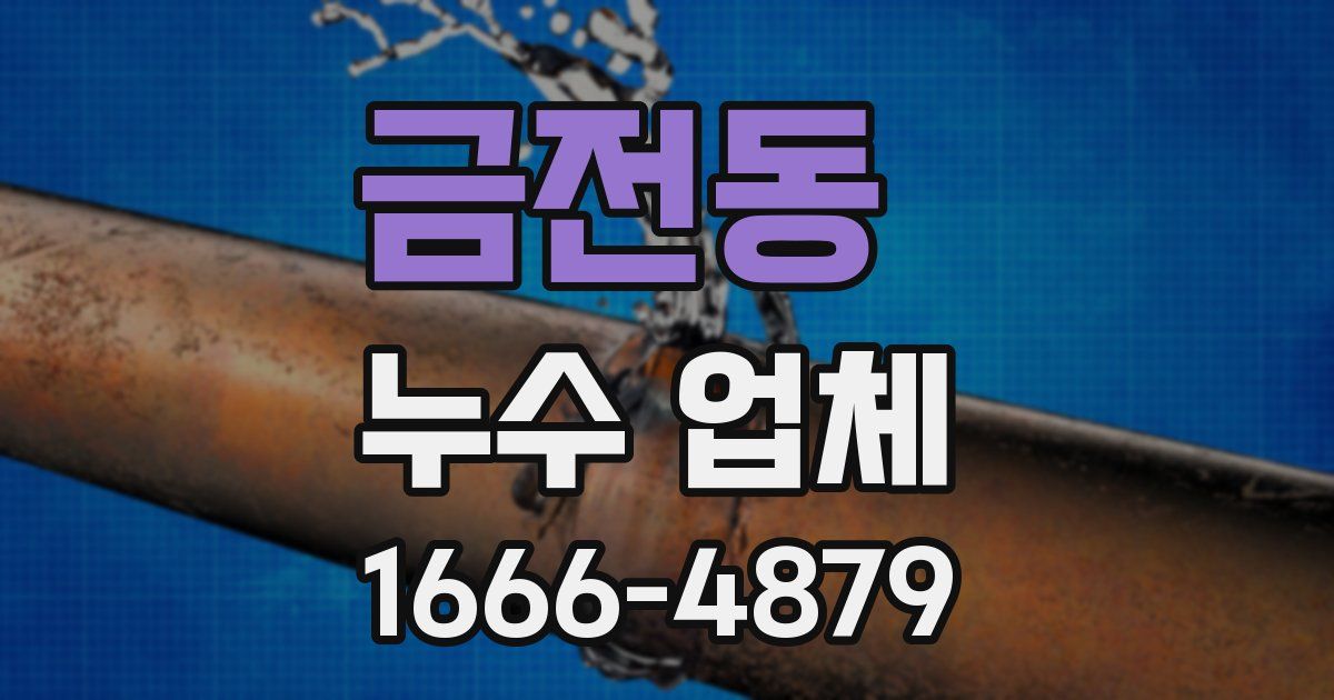 금전동 누수 업체