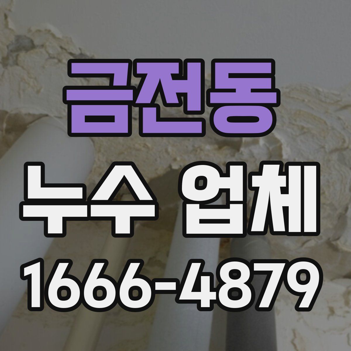 금전동 누수 업체