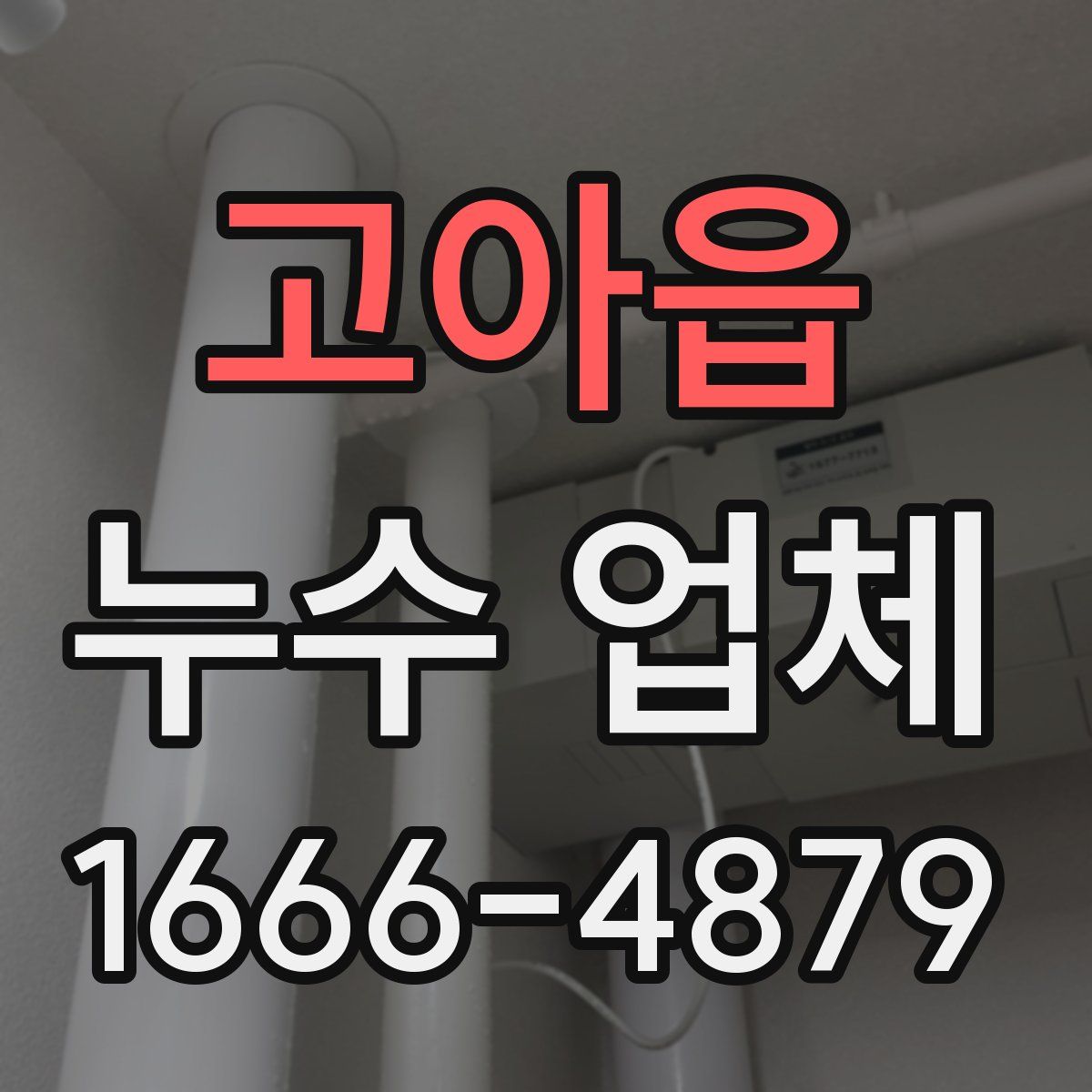 고아읍 누수 업체