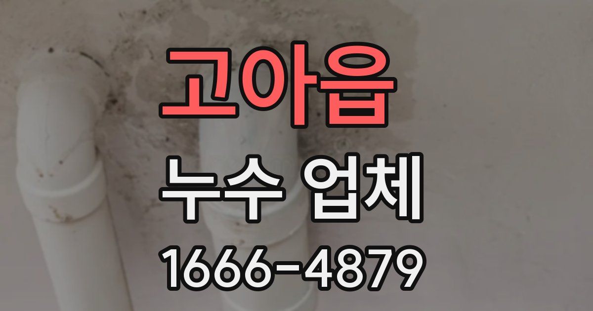 고아읍 누수 업체