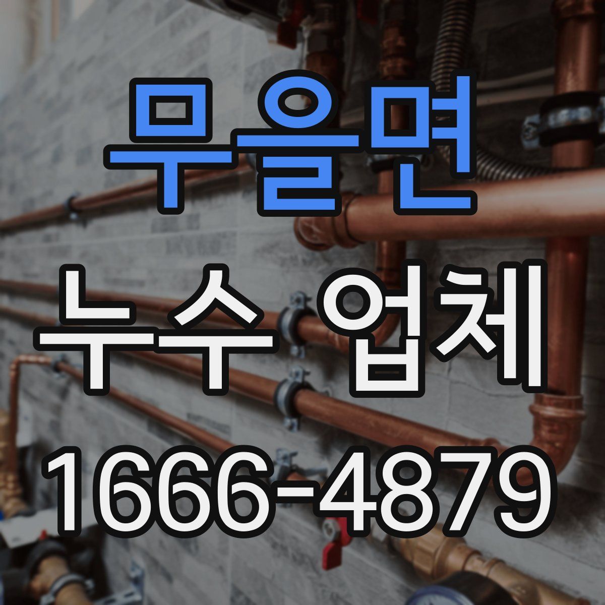 무을면 누수 업체