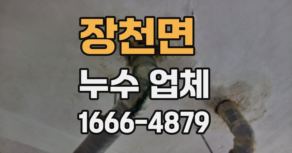 장천면 누수 업체