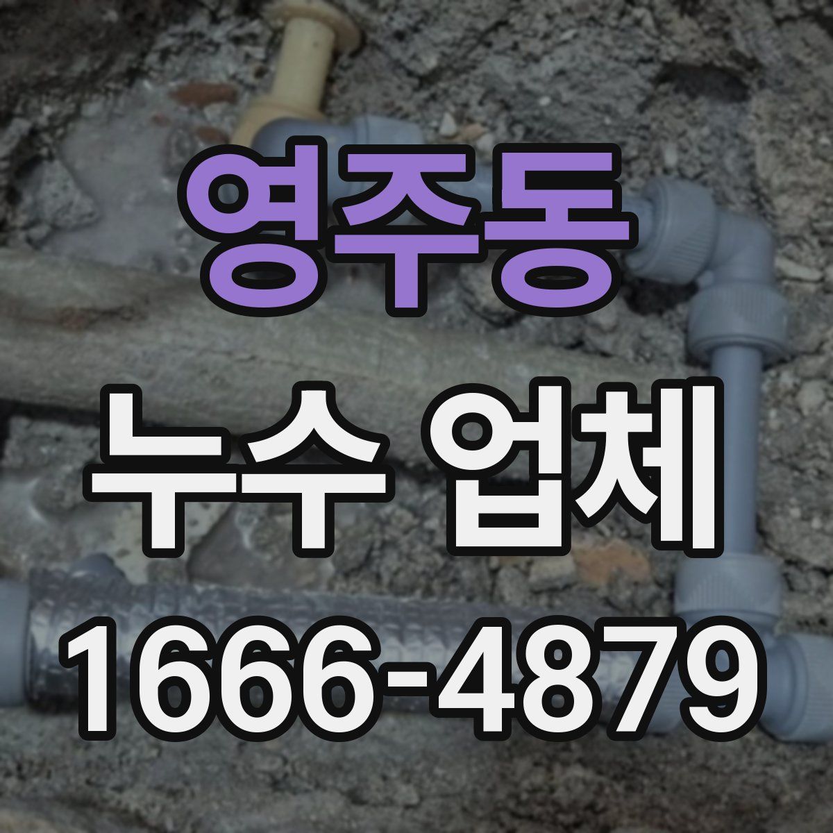 영주동 누수 업체