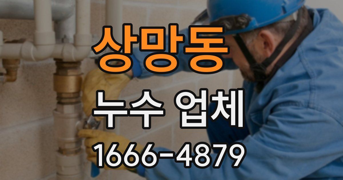 상망동 누수 업체