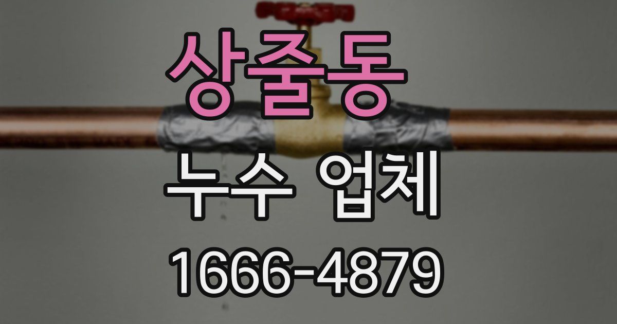 상줄동 누수 업체