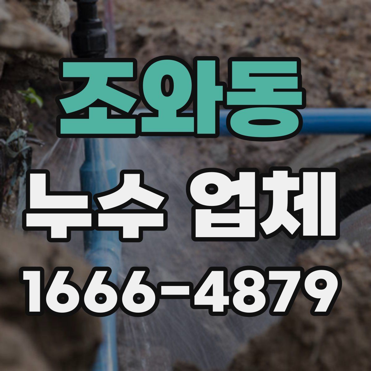 조와동 누수 업체