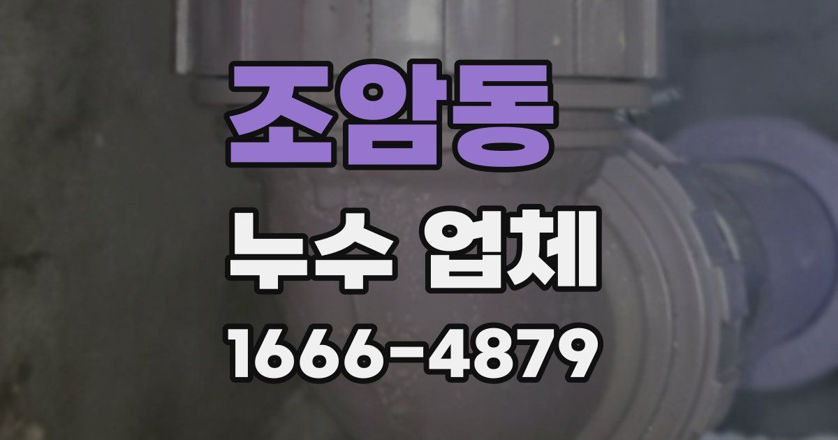 조암동 누수 업체