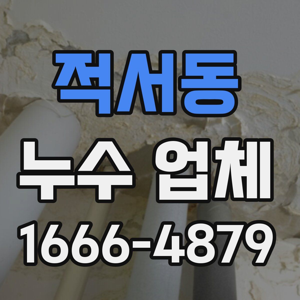 적서동 누수 업체