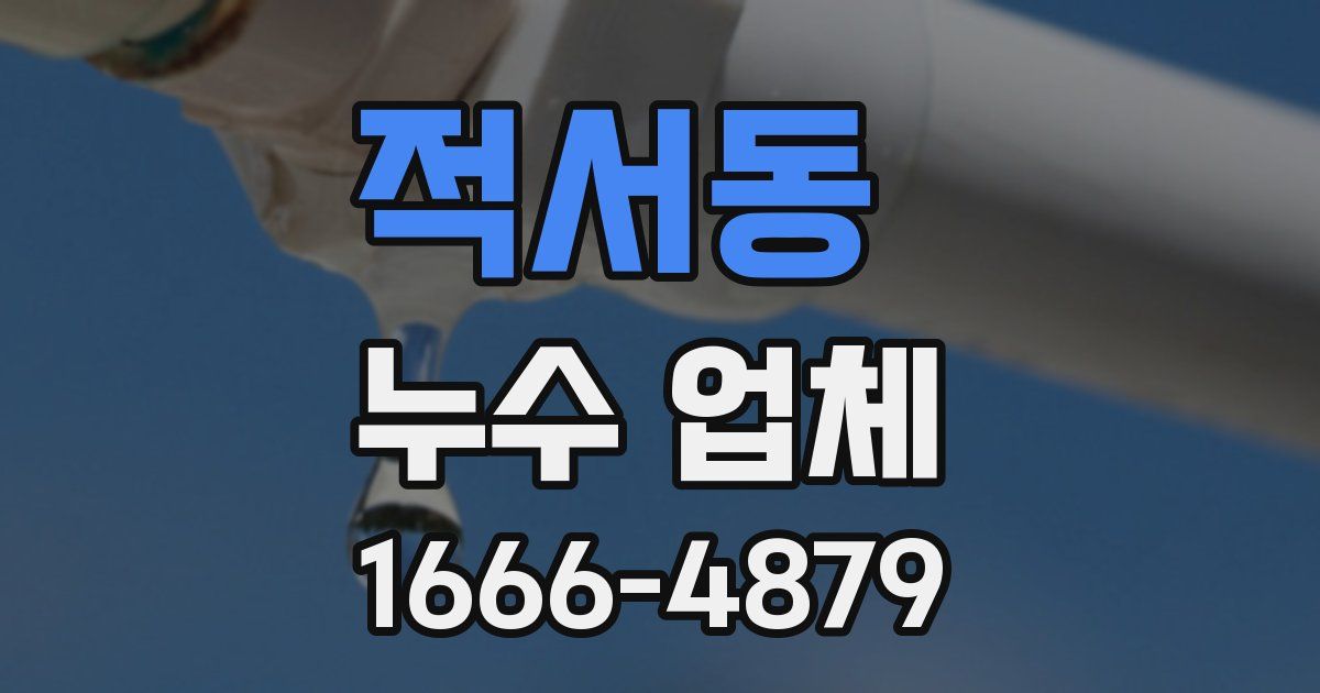 적서동 누수 업체