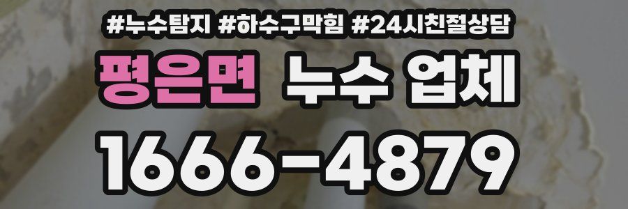 평은면 누수 업체