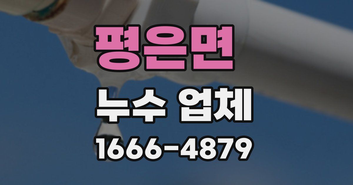 평은면 누수 업체