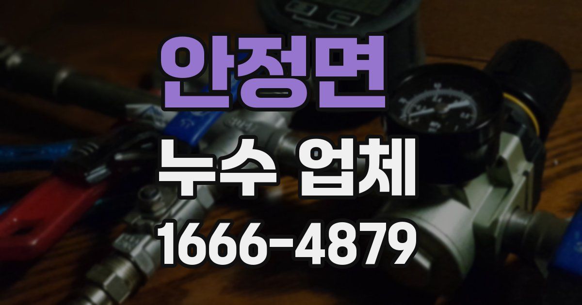 안정면 누수 업체