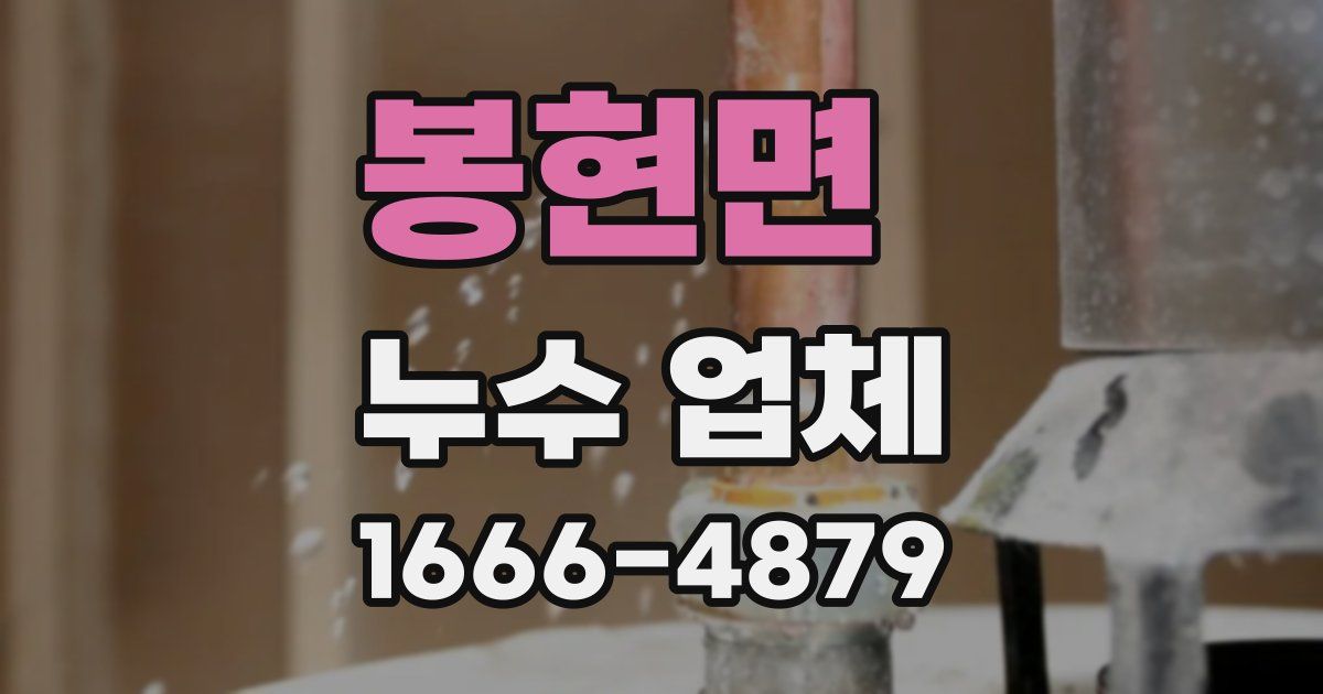 봉현면 누수 업체
