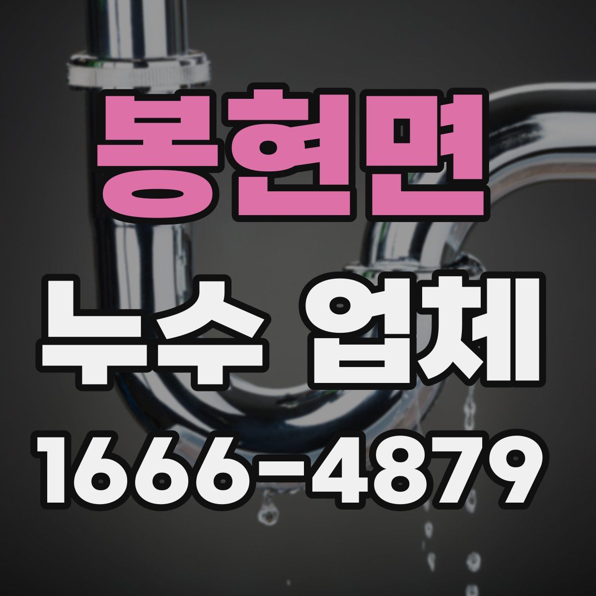 봉현면 누수 업체