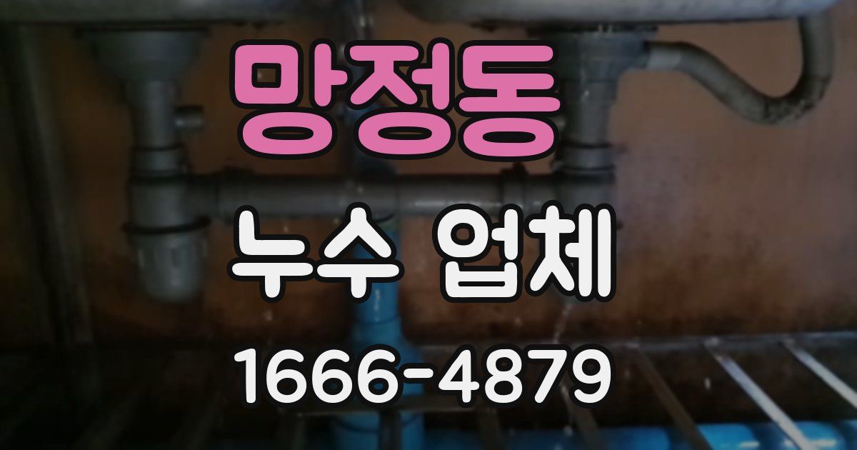 망정동 누수 업체