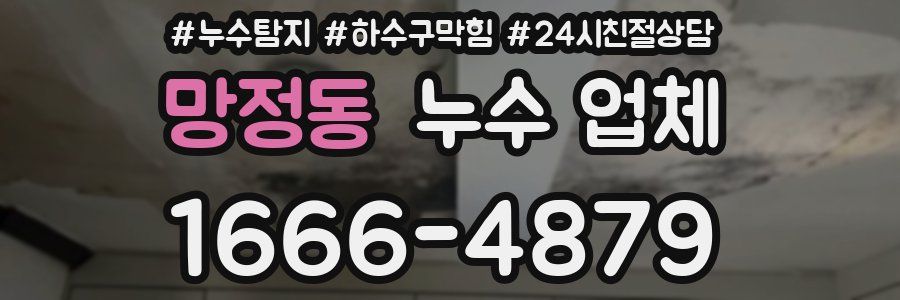 망정동 누수 업체