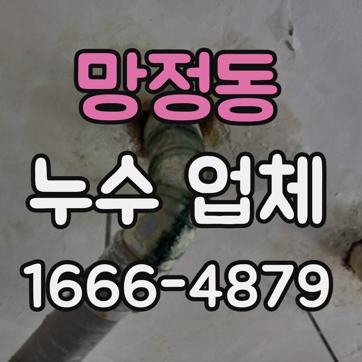 망정동 누수 업체