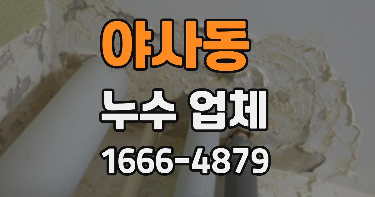 야사동 누수 업체