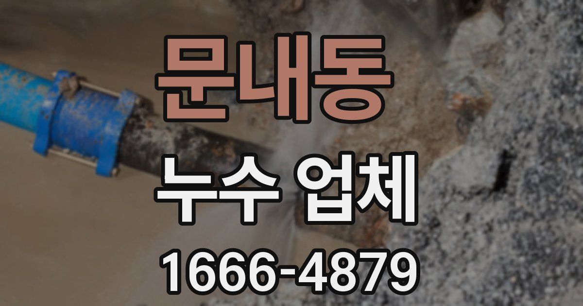문내동 누수 업체