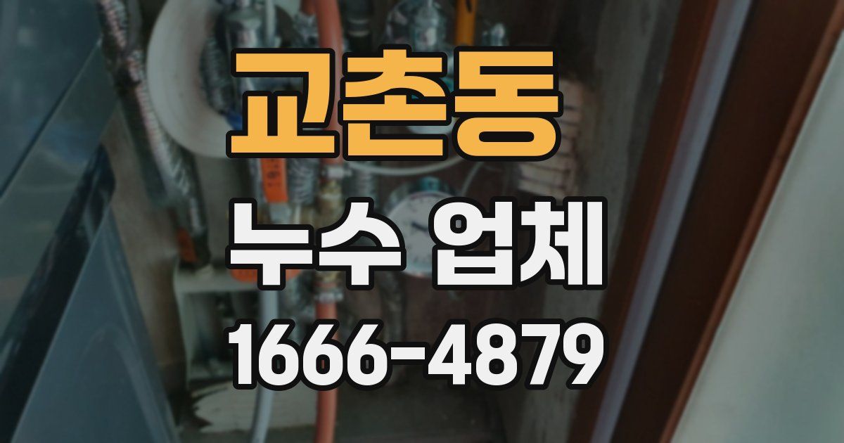 교촌동 누수 업체