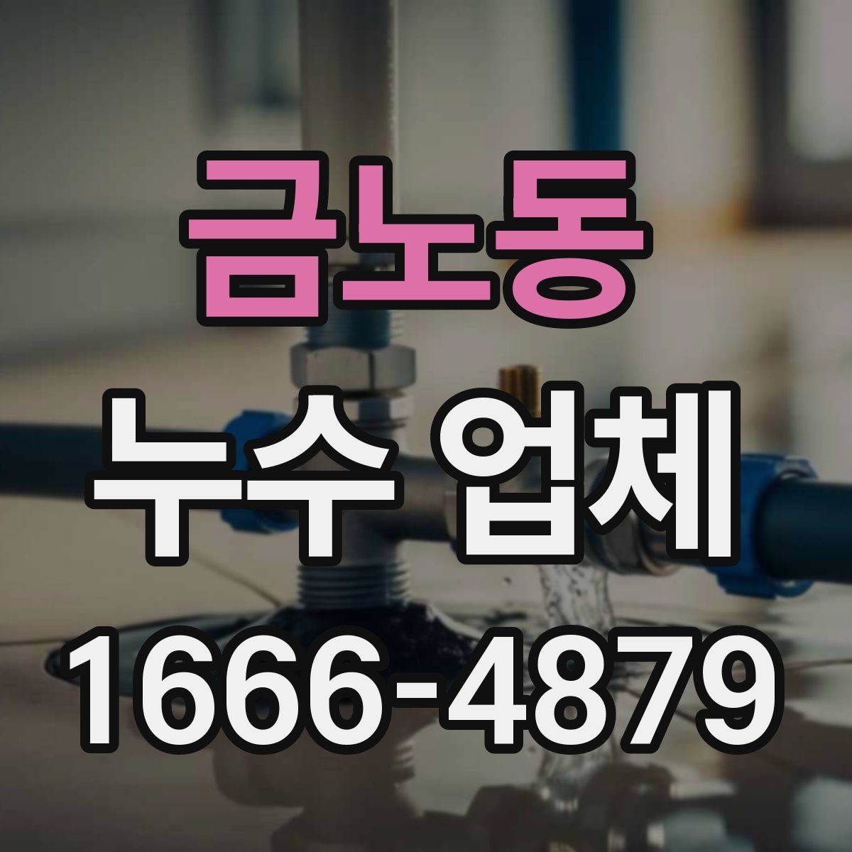 금노동 누수 업체
