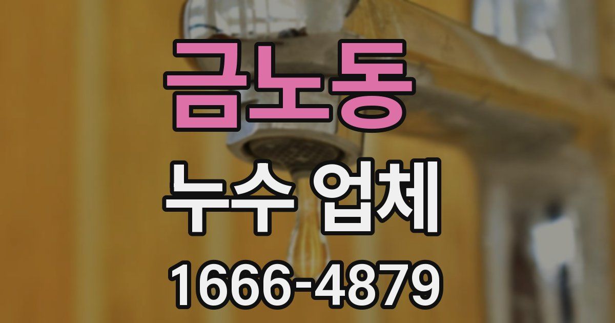 금노동 누수 업체
