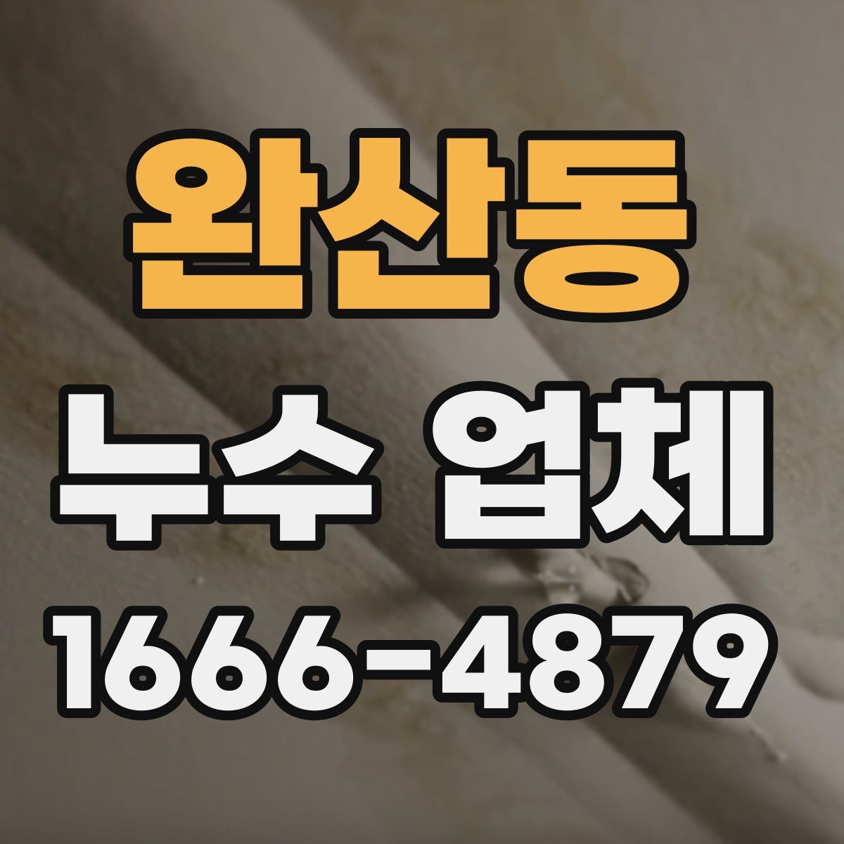 완산동 누수 업체