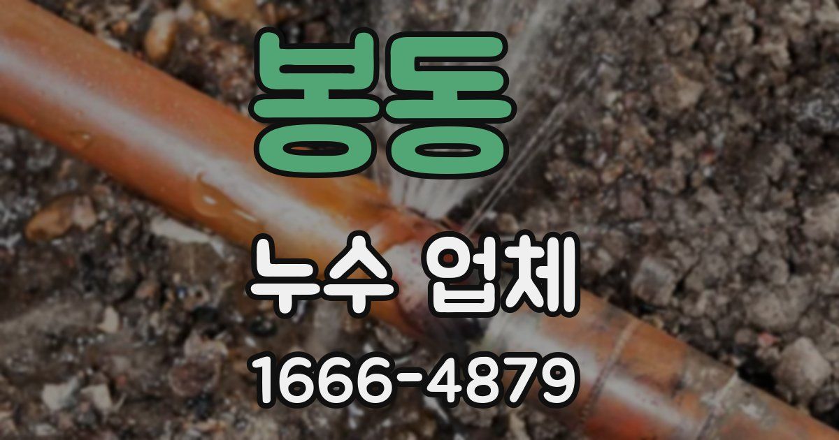 봉동 누수 업체