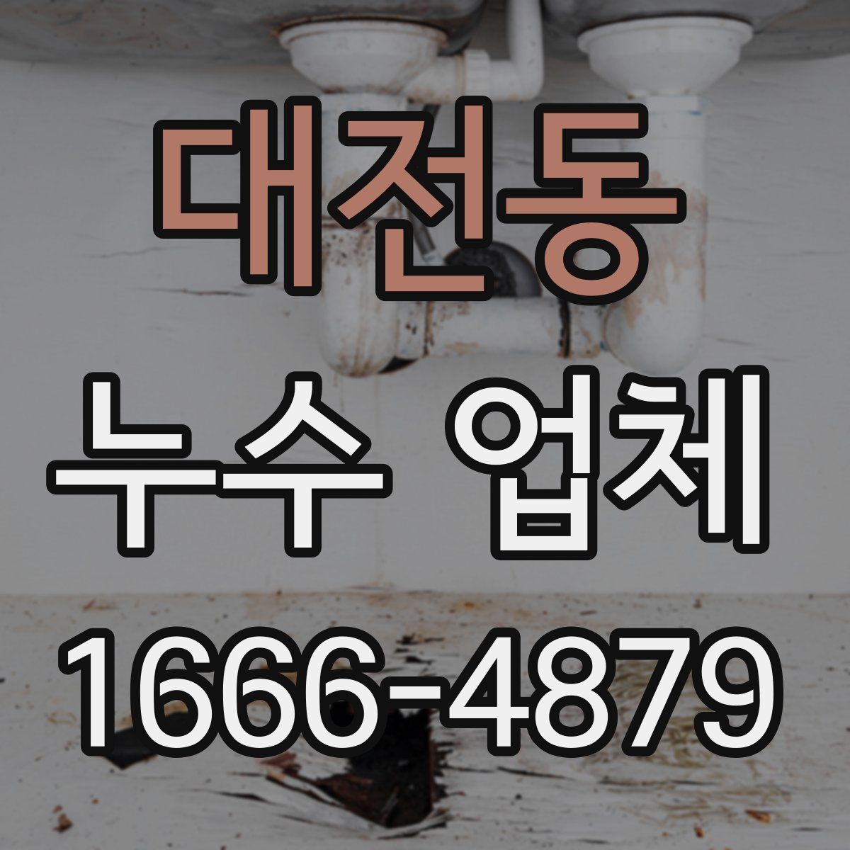대전동 누수 업체