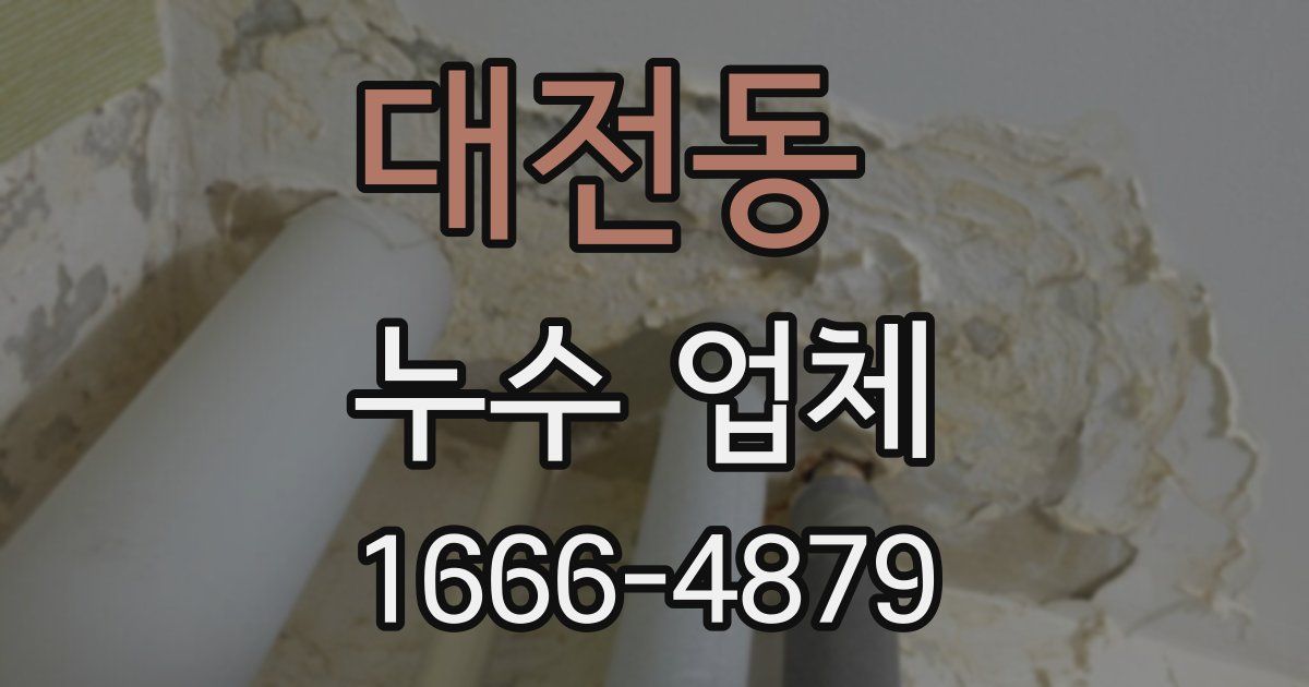 대전동 누수 업체