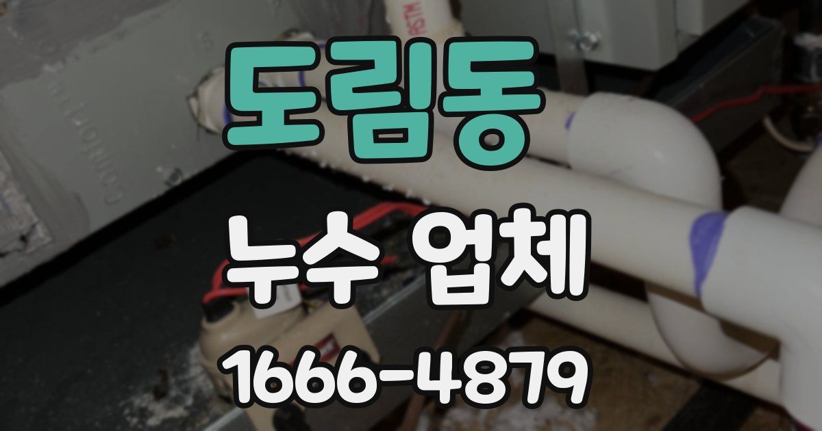 도림동 누수 업체