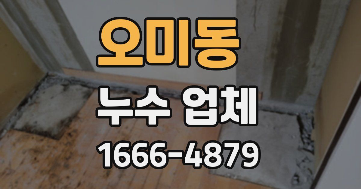 오미동 누수 업체